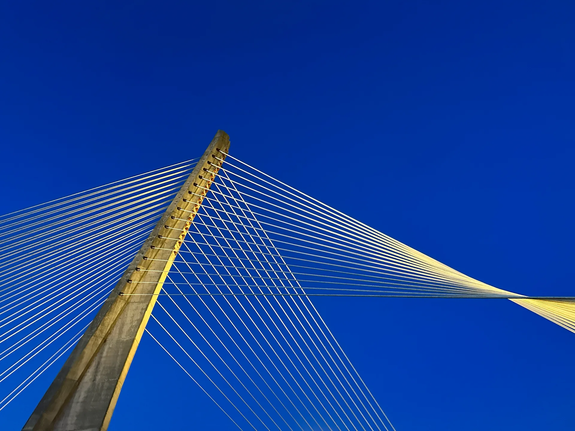 Cable-stayed bridge with yellow cables against a blue sky.